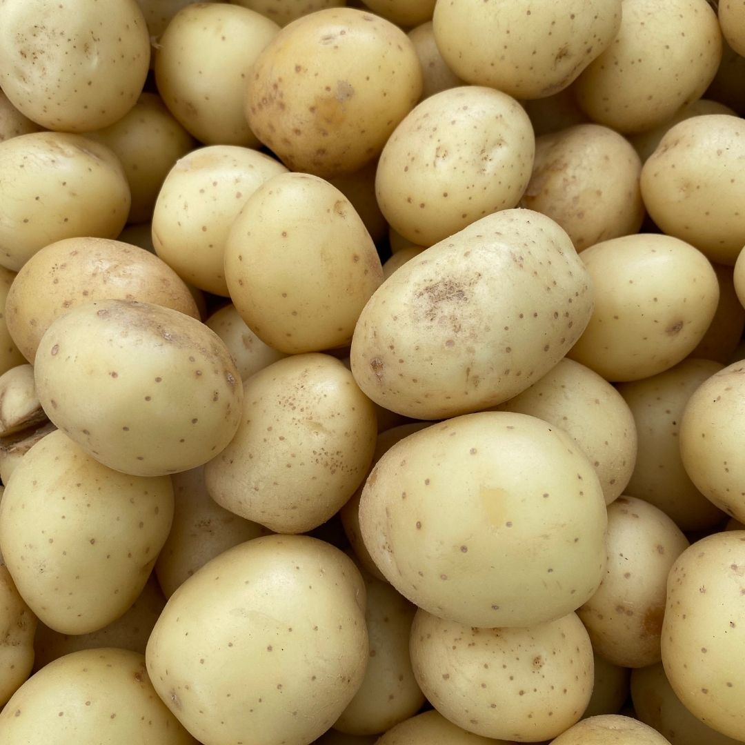 Potato